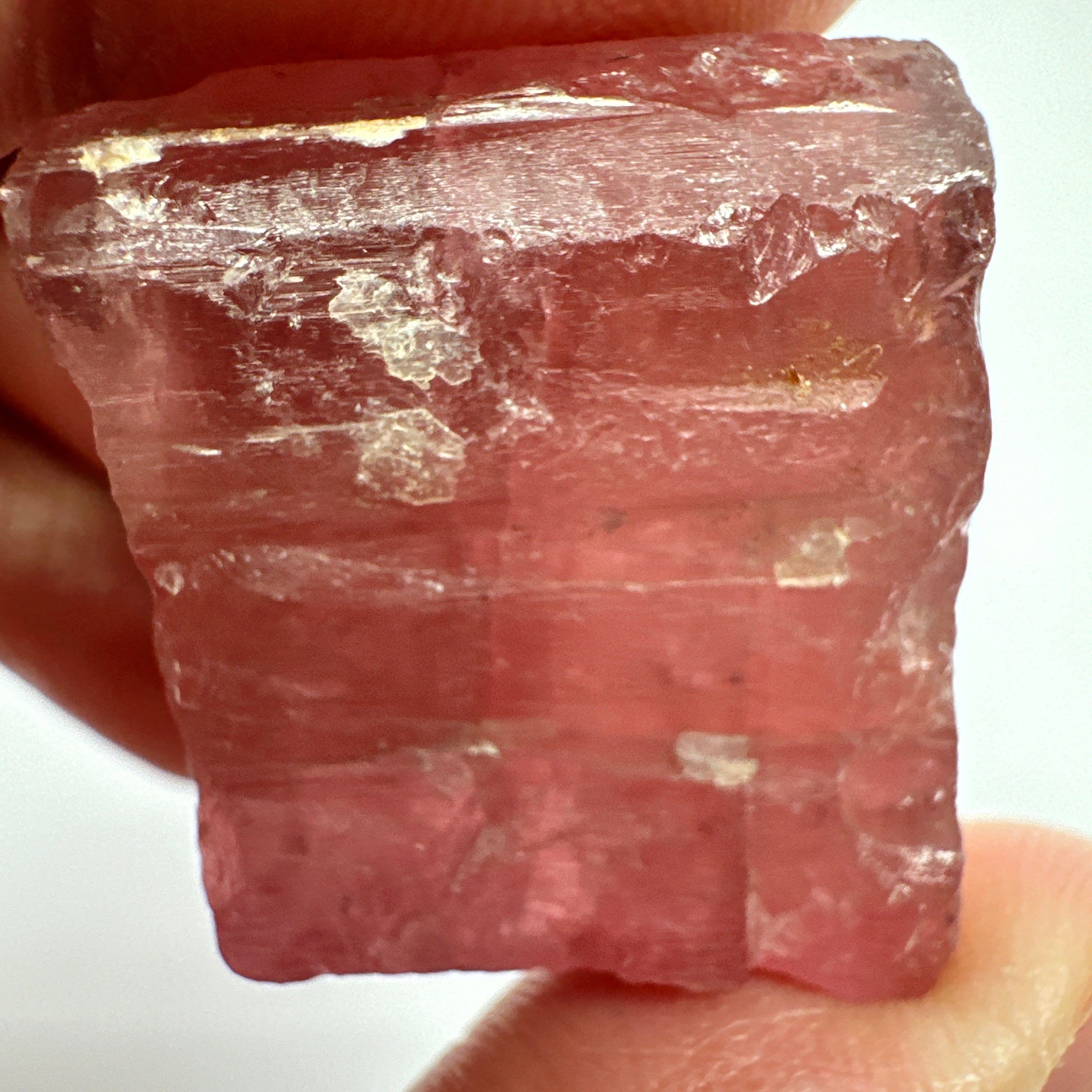 Tourmaline Crystal, 25.90gm, Untreated Unheated, cab/specimen grade