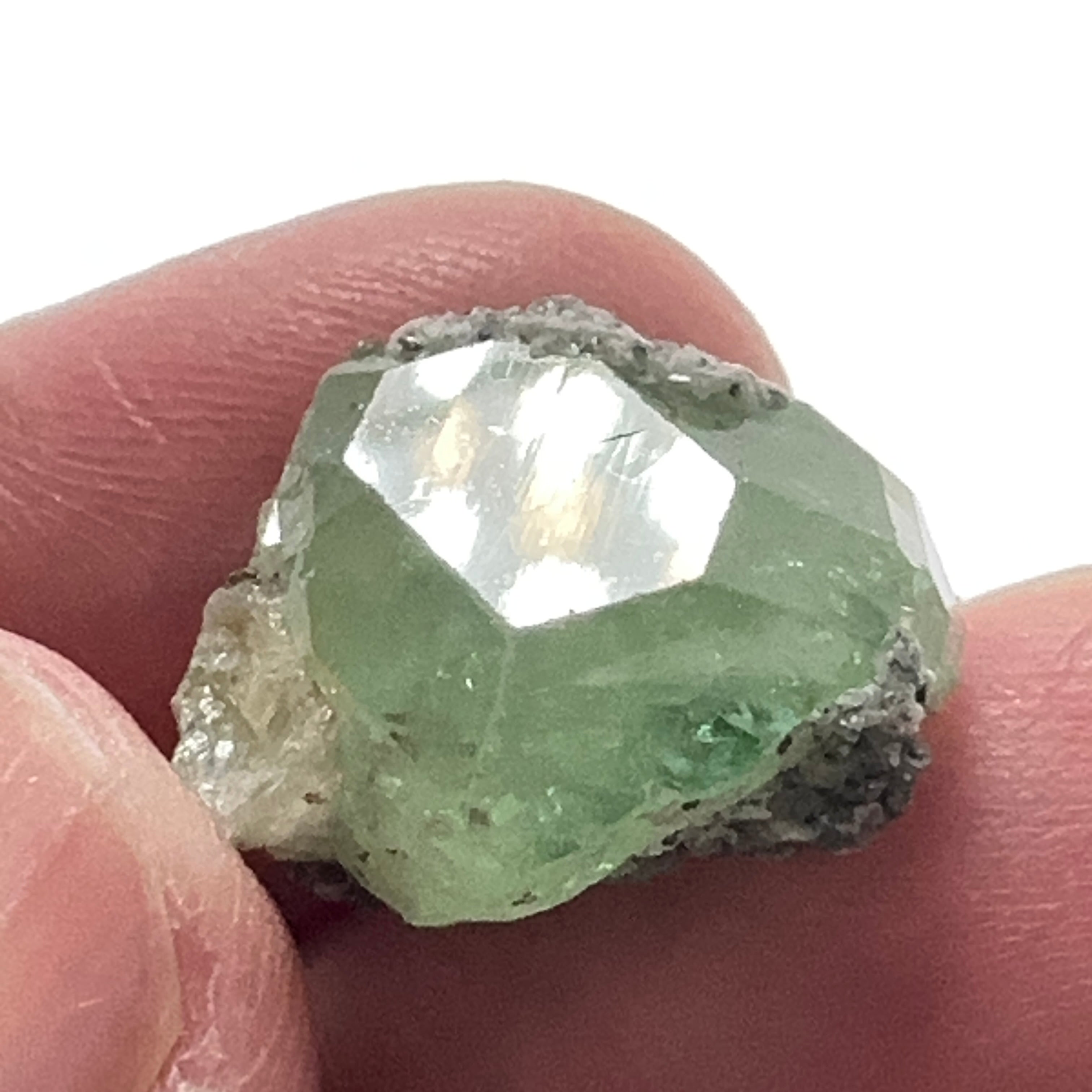 16.03ct Diopside crystal on matrix, Merelani, Tanzania