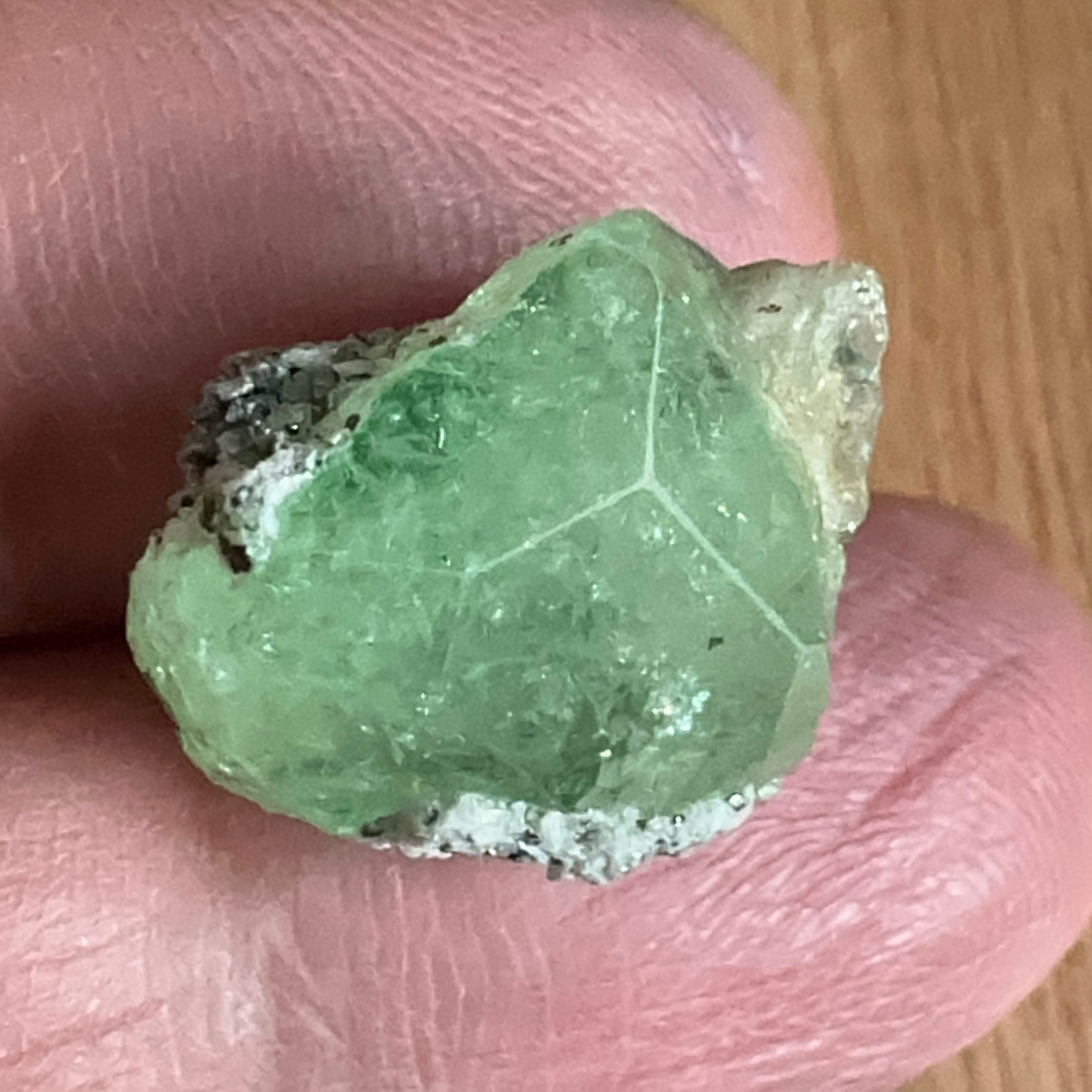 16.03ct Diopside crystal on matrix, Merelani, Tanzania