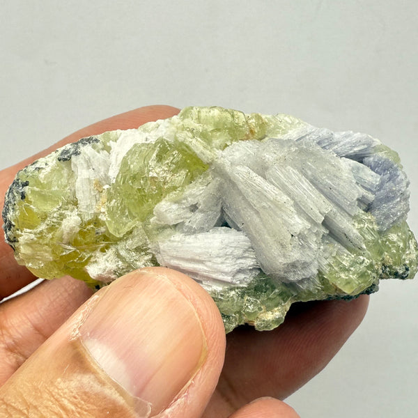 Prehnite with Tanzanite Crystal, 244.52ct Tanzania, Untreated Unheated