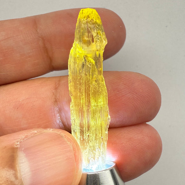 Golden Scapolite Crystal, 16.62ct, Dodoma, Tanzania, Untreated Unheated