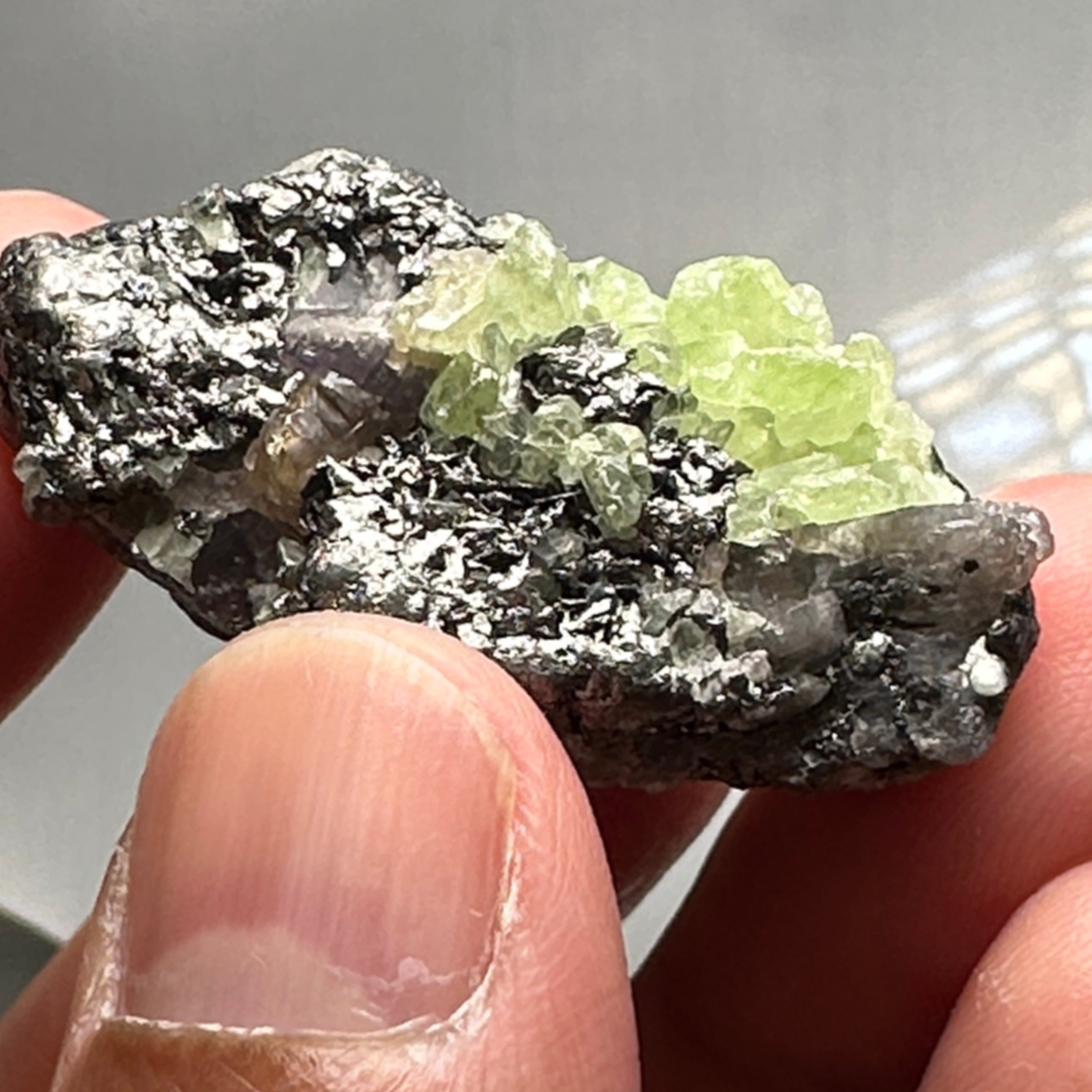 Diopside with Tanzanite Crystal, 114.50ct, Merelani, Tanzania. I have circled the Tanzanite part in the pictures