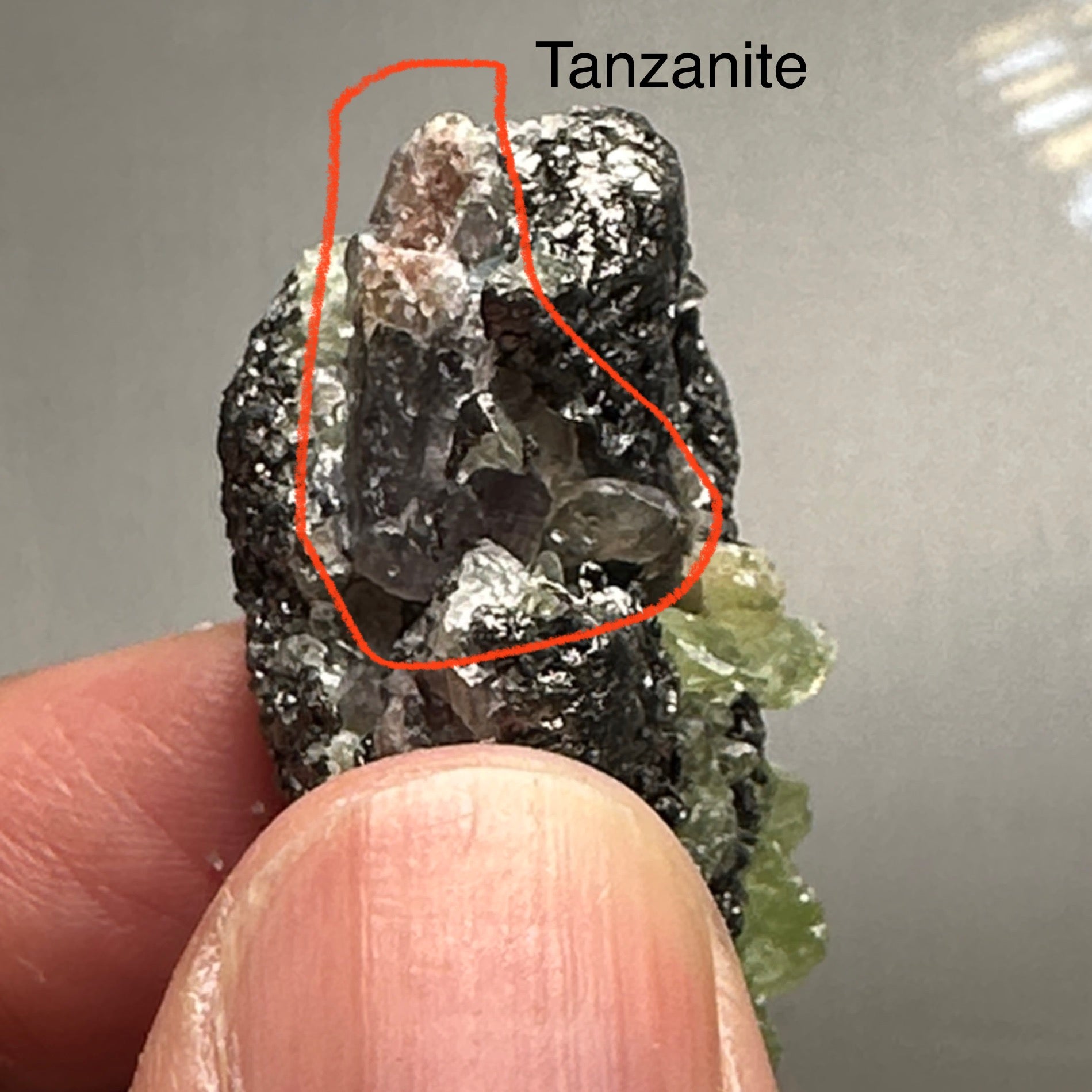 Diopside with Tanzanite Crystal, 114.50ct, Merelani, Tanzania. I have circled the Tanzanite part in the pictures