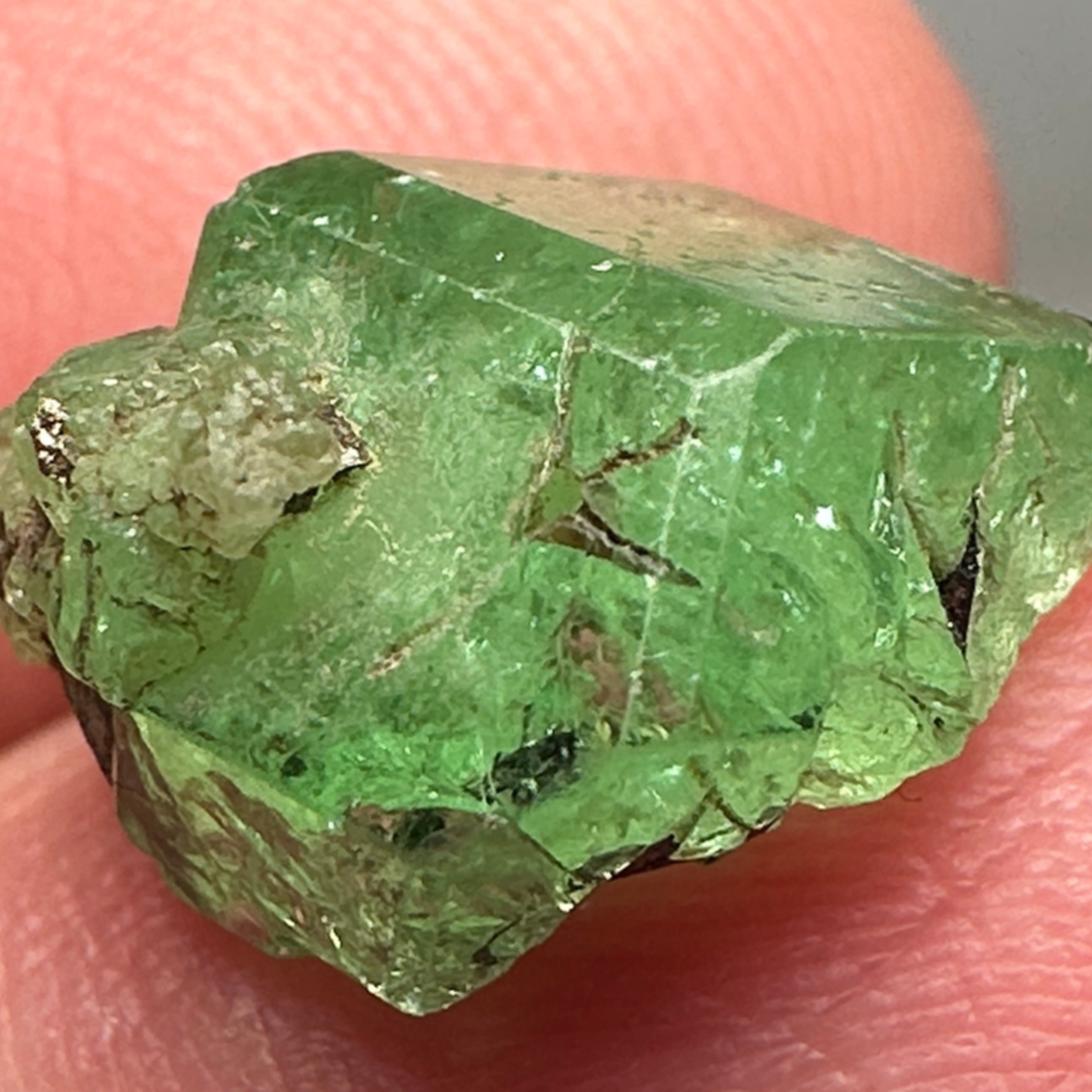 Tsavorite Crystal, 7.28ct, Merelani. Tanzania, Untreated Unheated