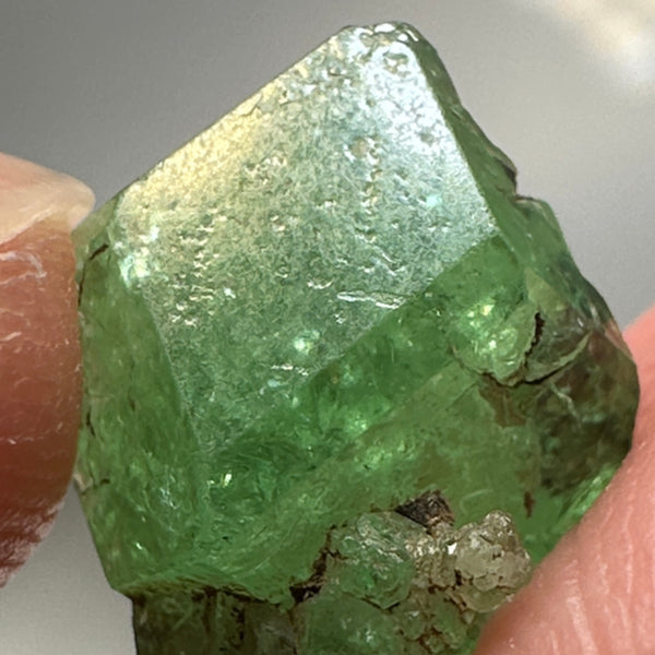 Tsavorite Crystal, 7.28ct, Merelani. Tanzania, Untreated Unheated