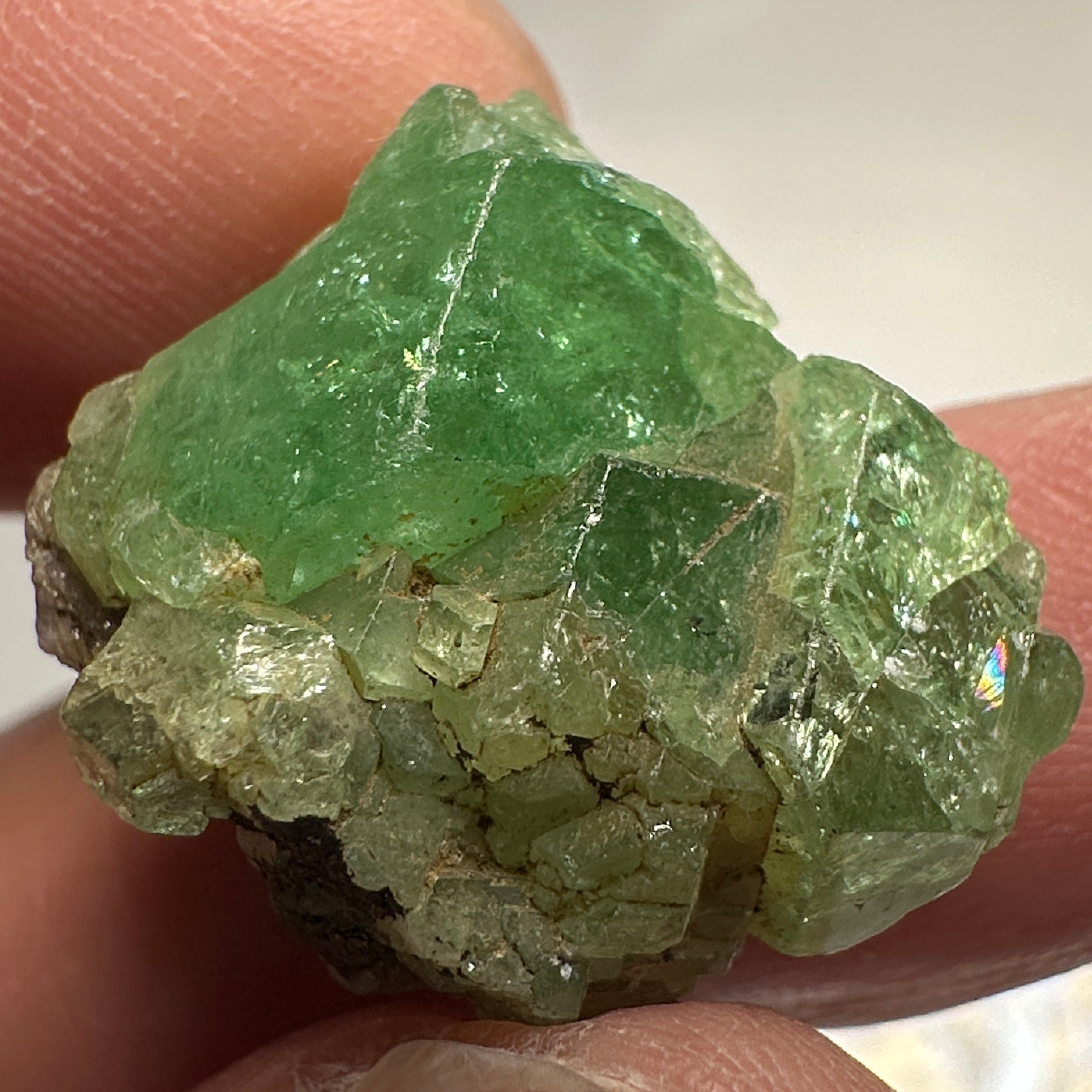 Tsavorite Crystal on Matrix. 31.22ct, Merelani. Tanzania, Untreated Unheated