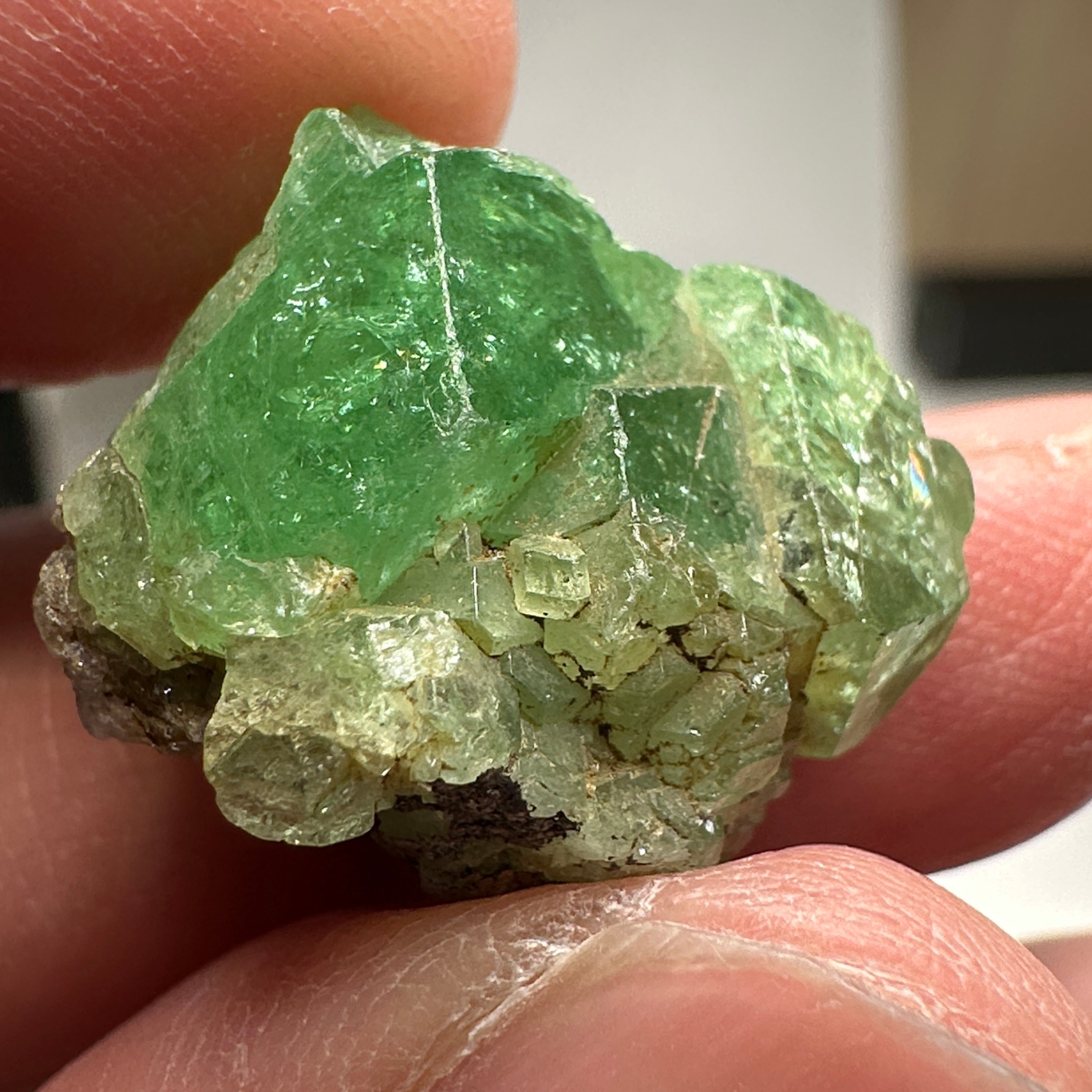 Tsavorite Crystal on Matrix. 31.22ct, Merelani. Tanzania, Untreated Unheated