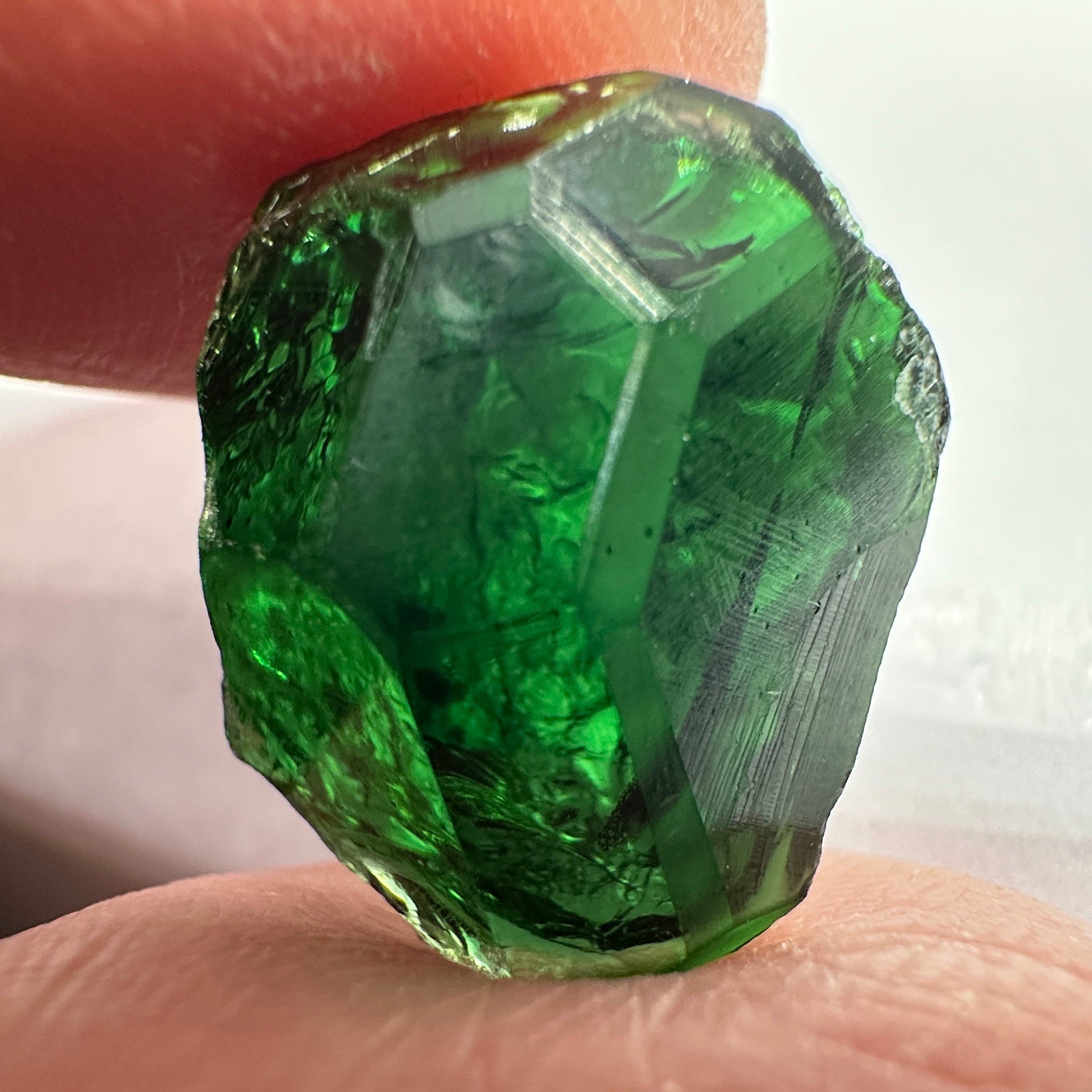 Chrome Tourmaline, 14.90ct, Tanzania, Untreated Unheated, VVS-IF with one spot, I have circled the spot in red on one of the pictures, stone is dark and shown in different lights and backgrounds, see all pictures.