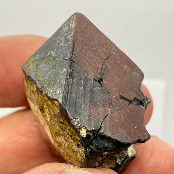 Magnetite Crystal, Merelani, same mining pit as Tanzanite, comes out with Tanzanite, Tanzania, Untreated Unheated. 28.1gm 30 x 27 x 19.6mm