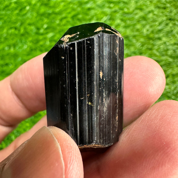 20gm Black Tourmaline Crystal, Tanzania, Untreated Unheated