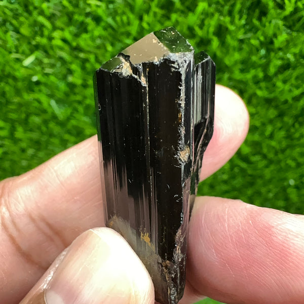 20.2gm Black Tourmaline Crystal, Tanzania, Untreated Unheated