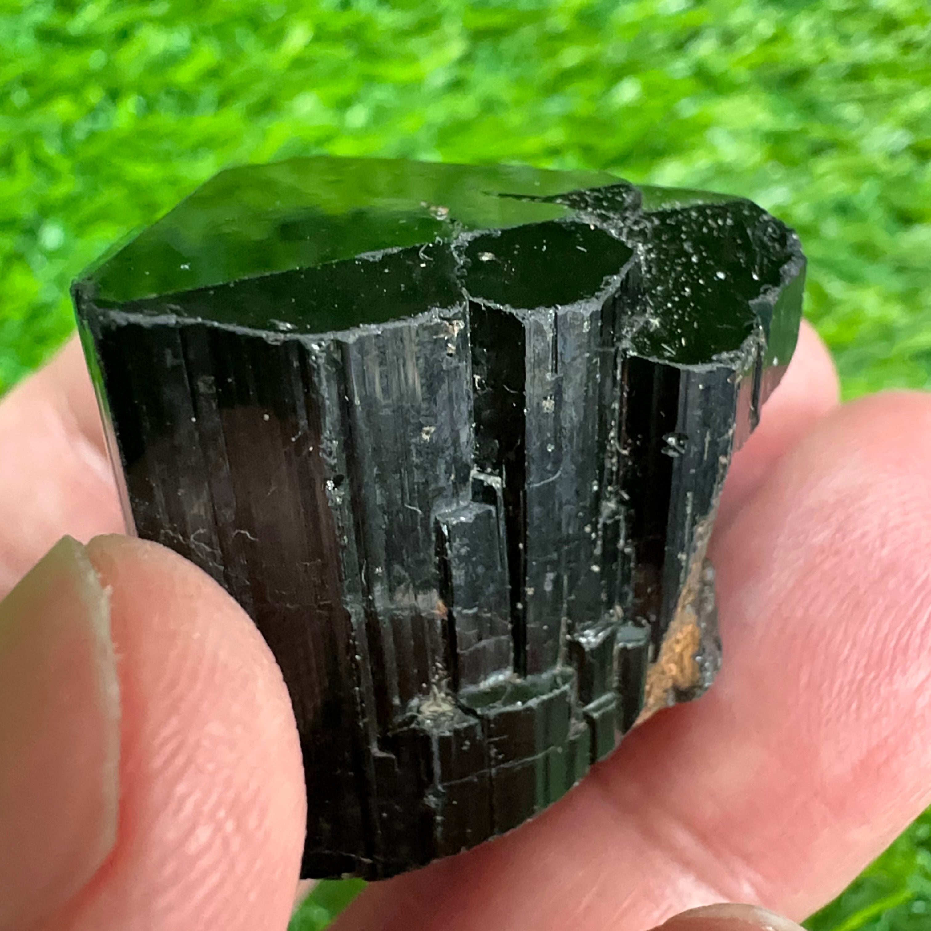 Black Tourmaline Crystal, 44.50gm, Tanzania, Untreated Unheated