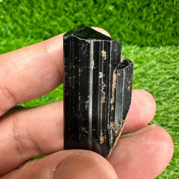 23.9gm Black Tourmaline Crystal, Tanzania, Untreated Unheated