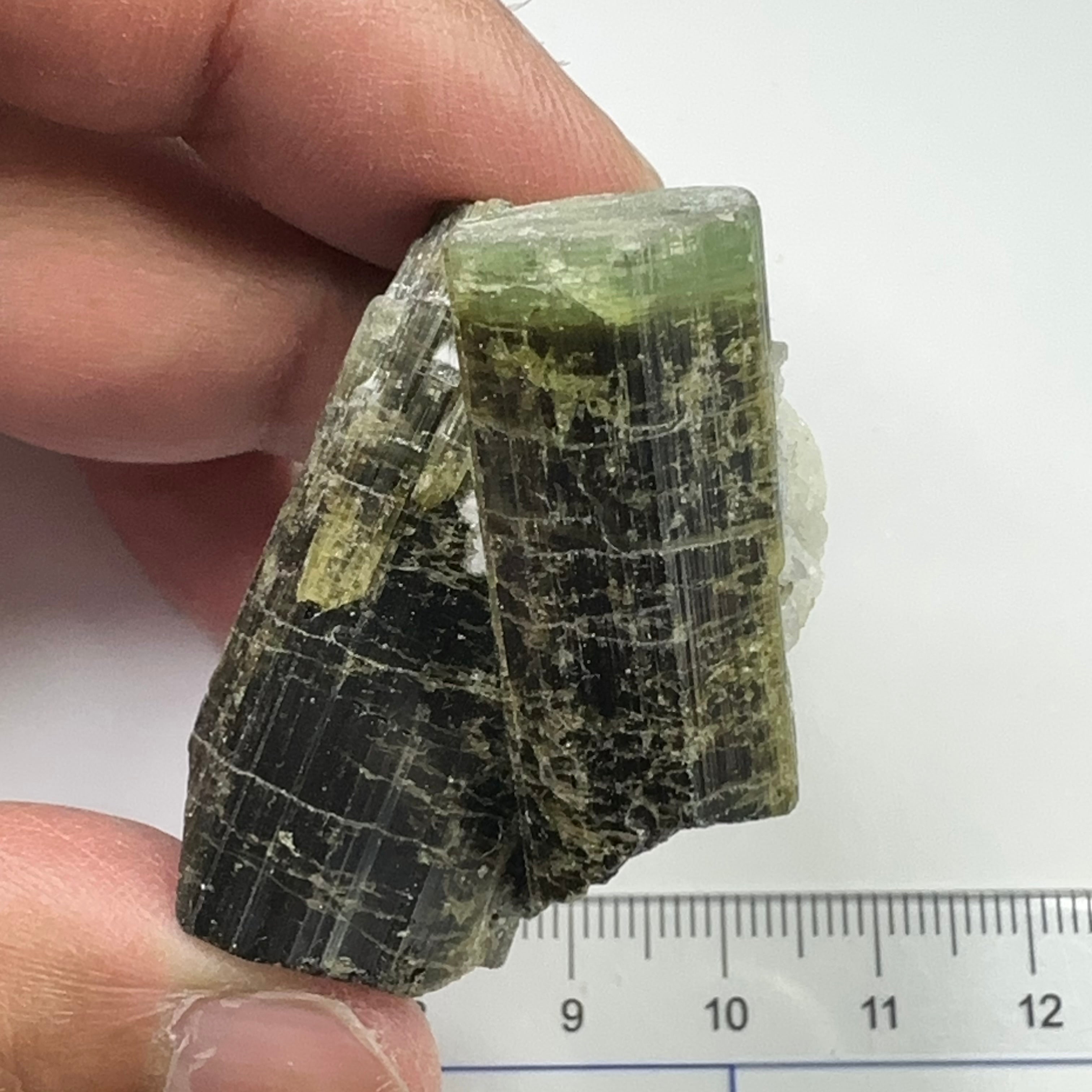 Tourmaline Crystal, 42.90gm, Tanzania.