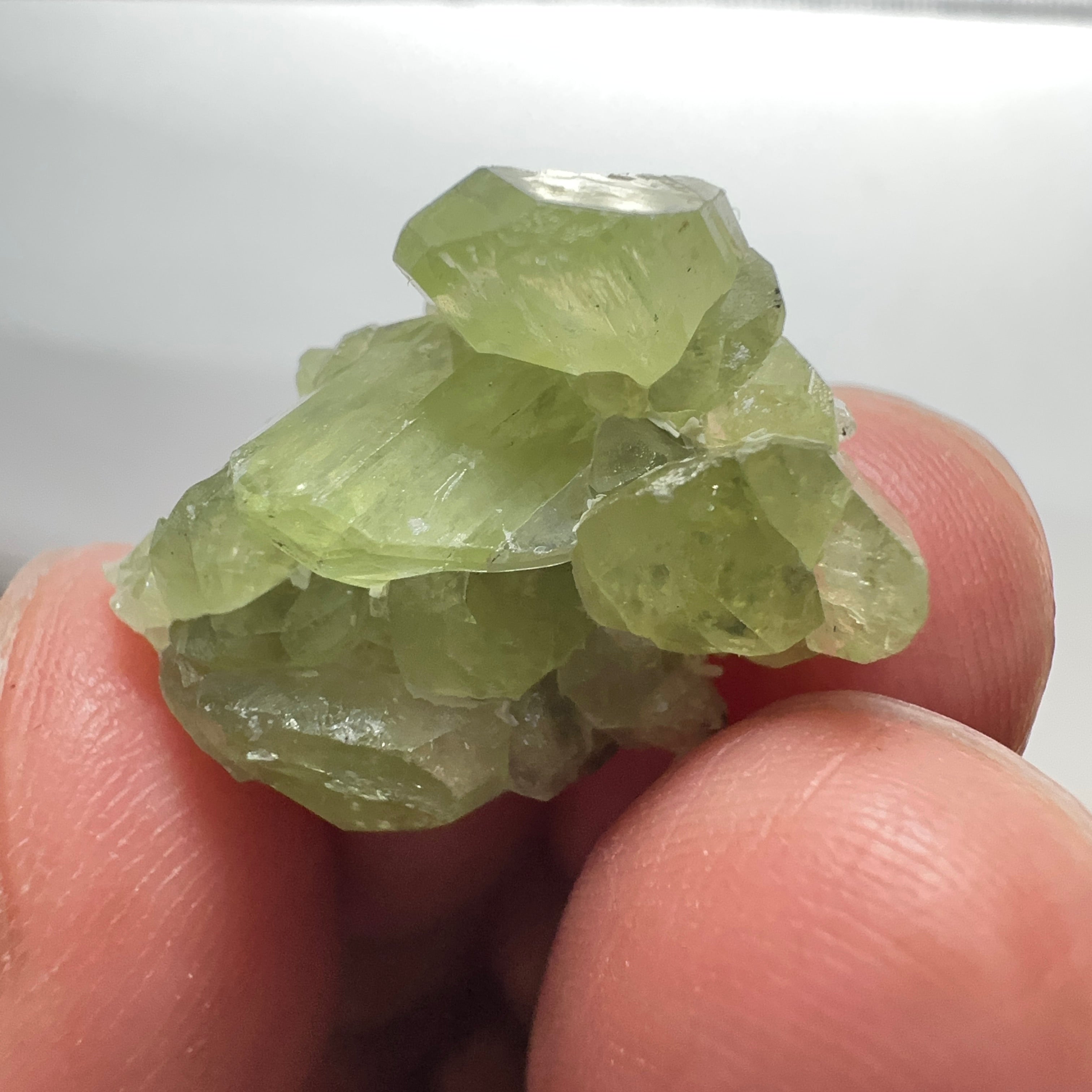 Diopside cluster on Matrix, 22.60ct, Merelani, Tanzania, Untreated Unheated