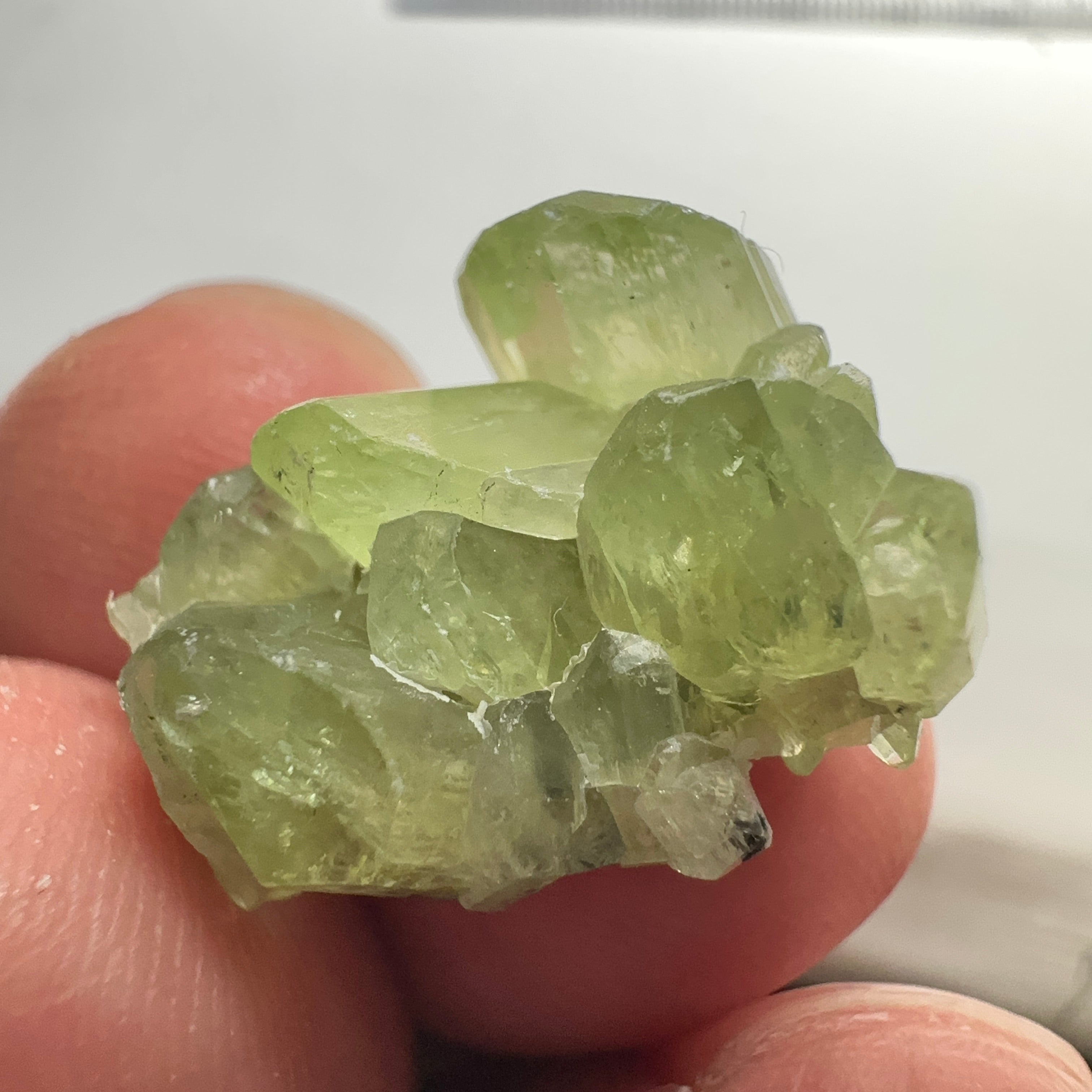 Diopside cluster on Matrix, 22.60ct, Merelani, Tanzania, Untreated Unheated