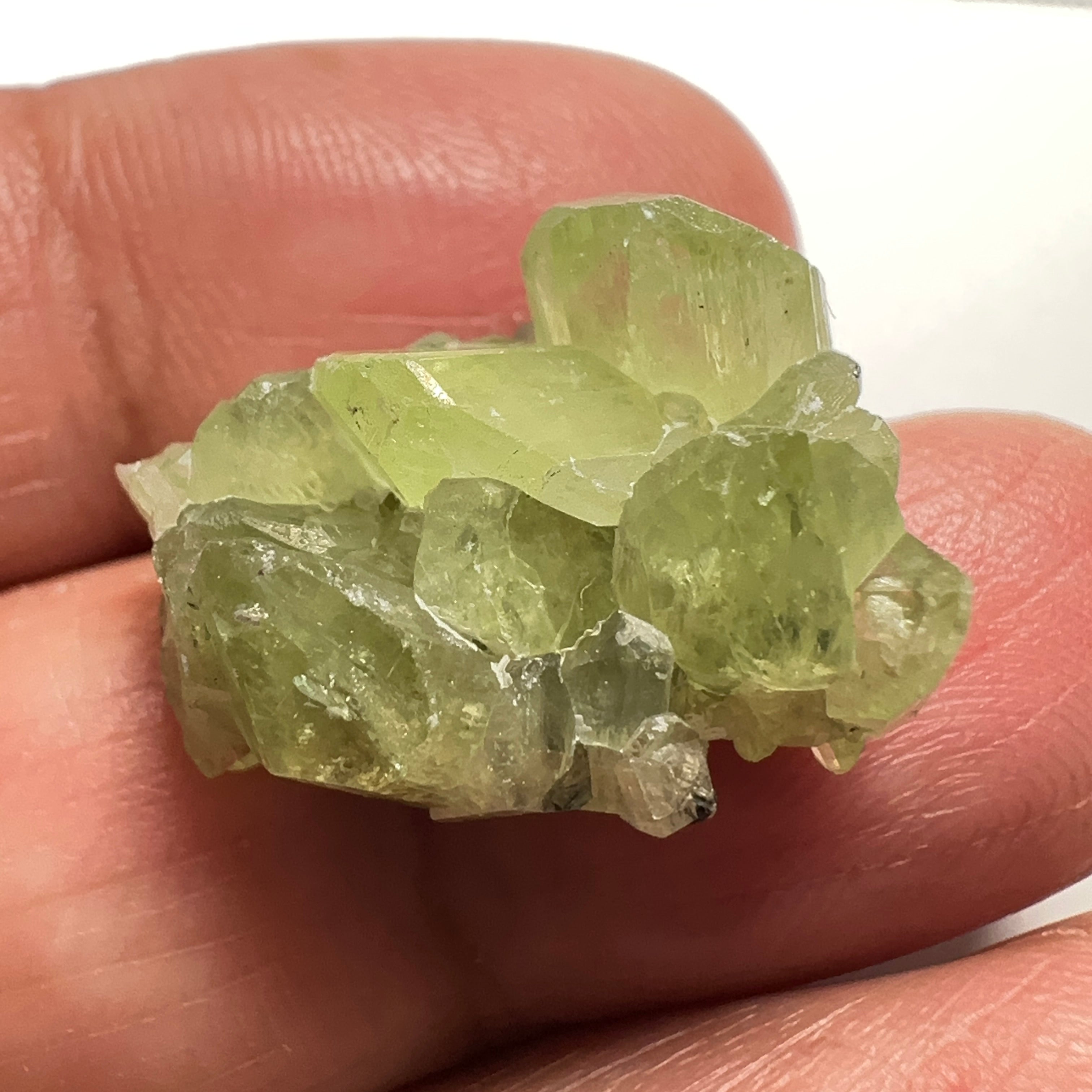 Diopside cluster on Matrix, 22.60ct, Merelani, Tanzania, Untreated Unheated