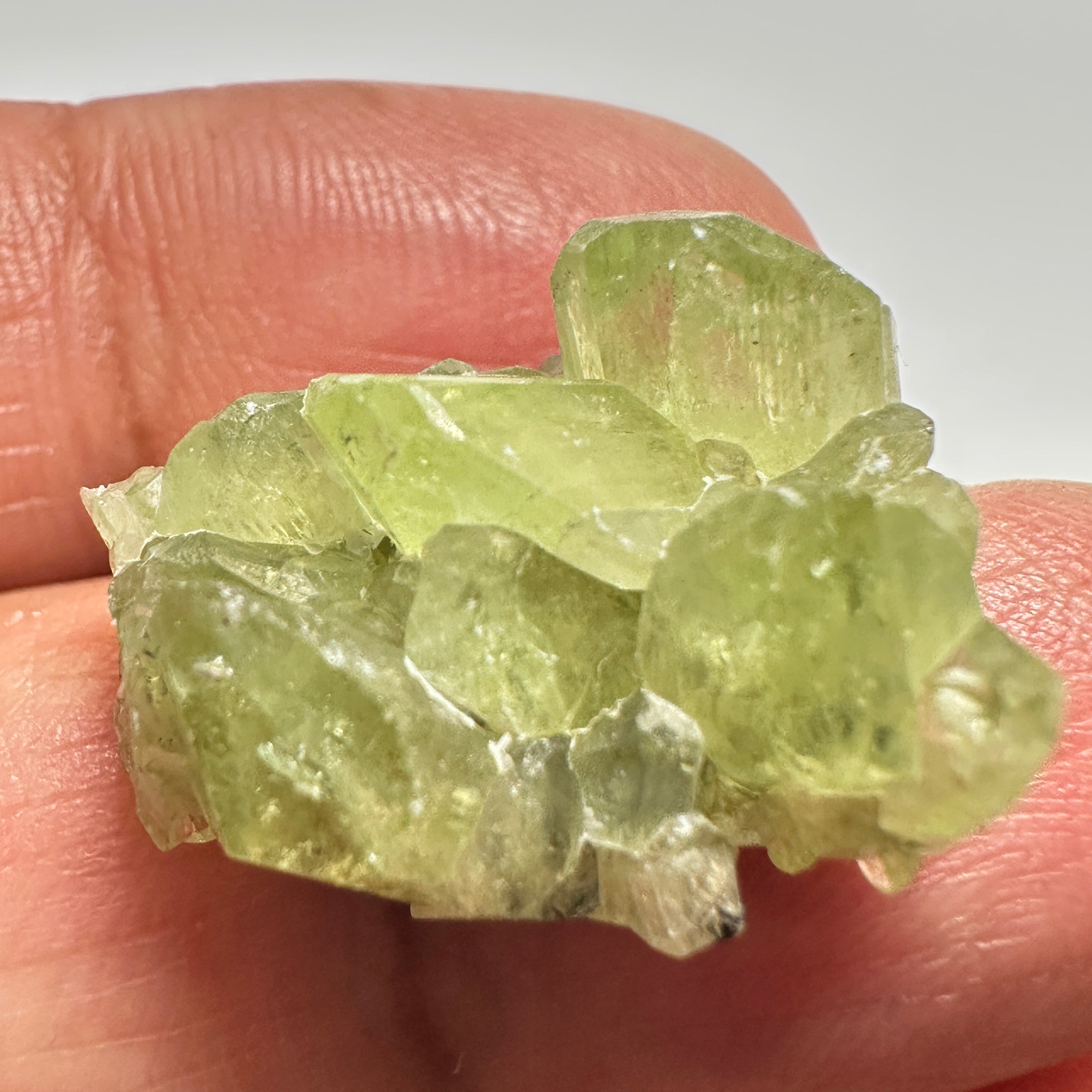 Diopside cluster on Matrix, 22.60ct, Merelani, Tanzania, Untreated Unheated