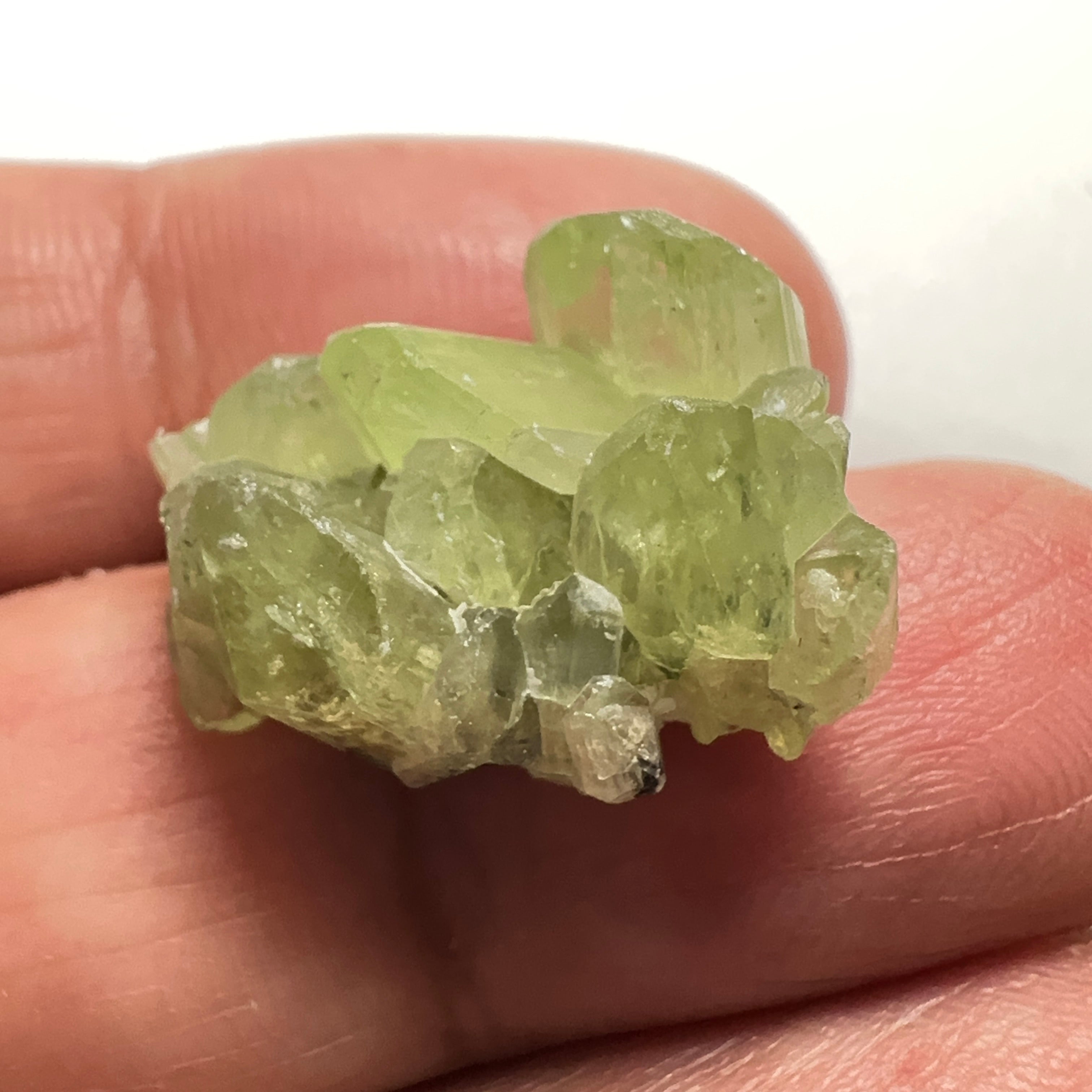 Diopside cluster on Matrix, 22.60ct, Merelani, Tanzania, Untreated Unheated