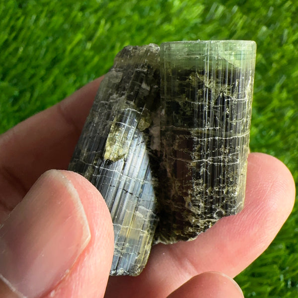 Tourmaline Crystal, 42.90gm, Tanzania.