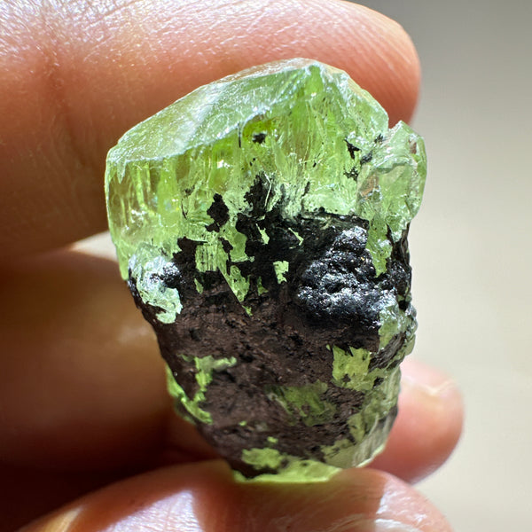 Diopside crystal on matrix, 8.4gm, Merelani, Tanzania