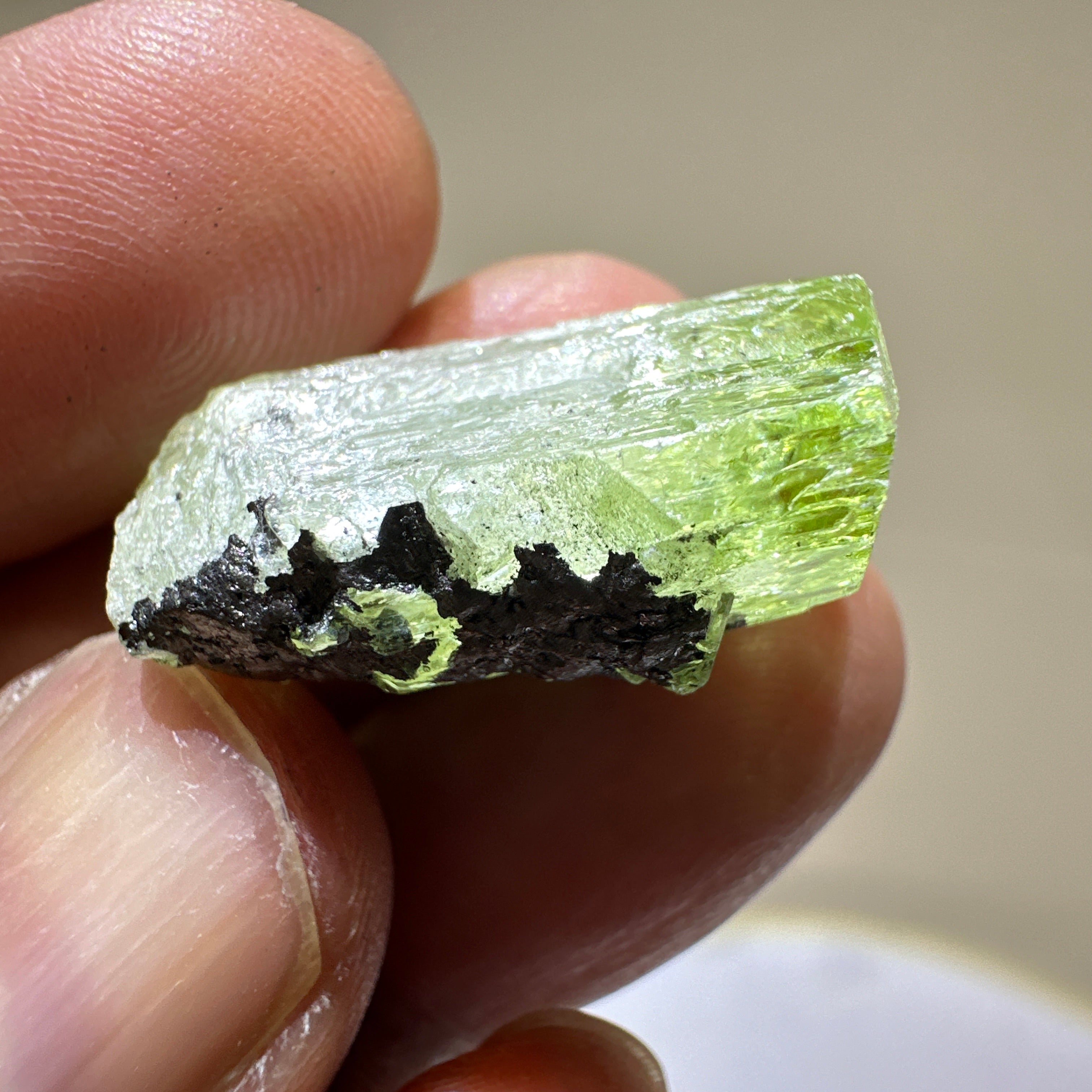 Diopside crystal on matrix, 8.4gm, Merelani, Tanzania