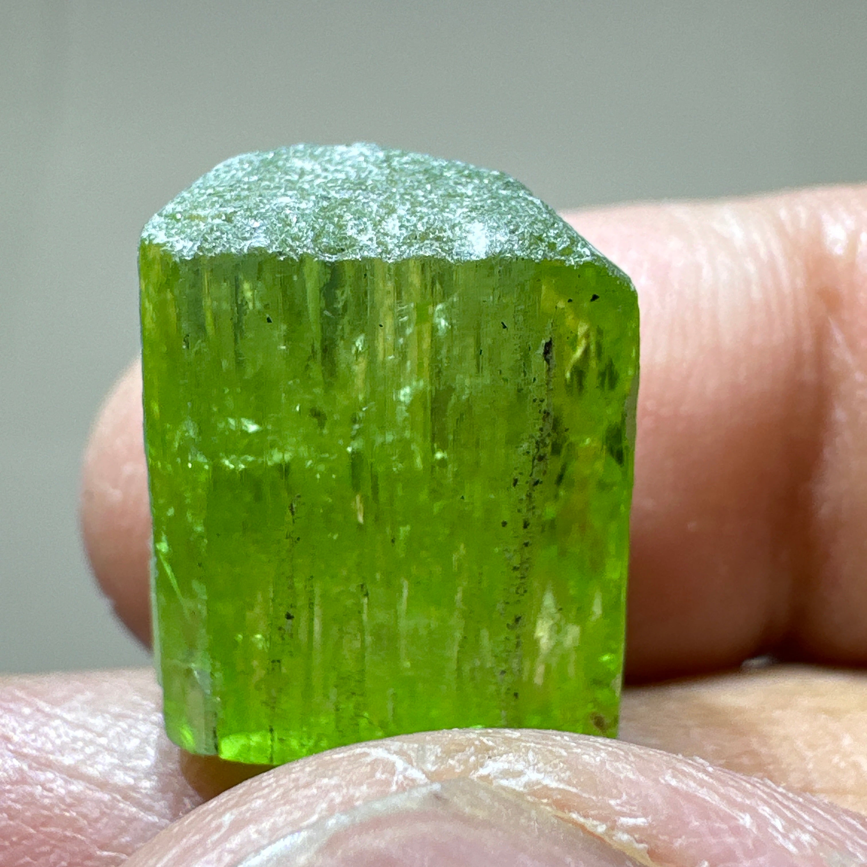 Tremolite Crystal, 3.90gm, Merelani, Tanzania