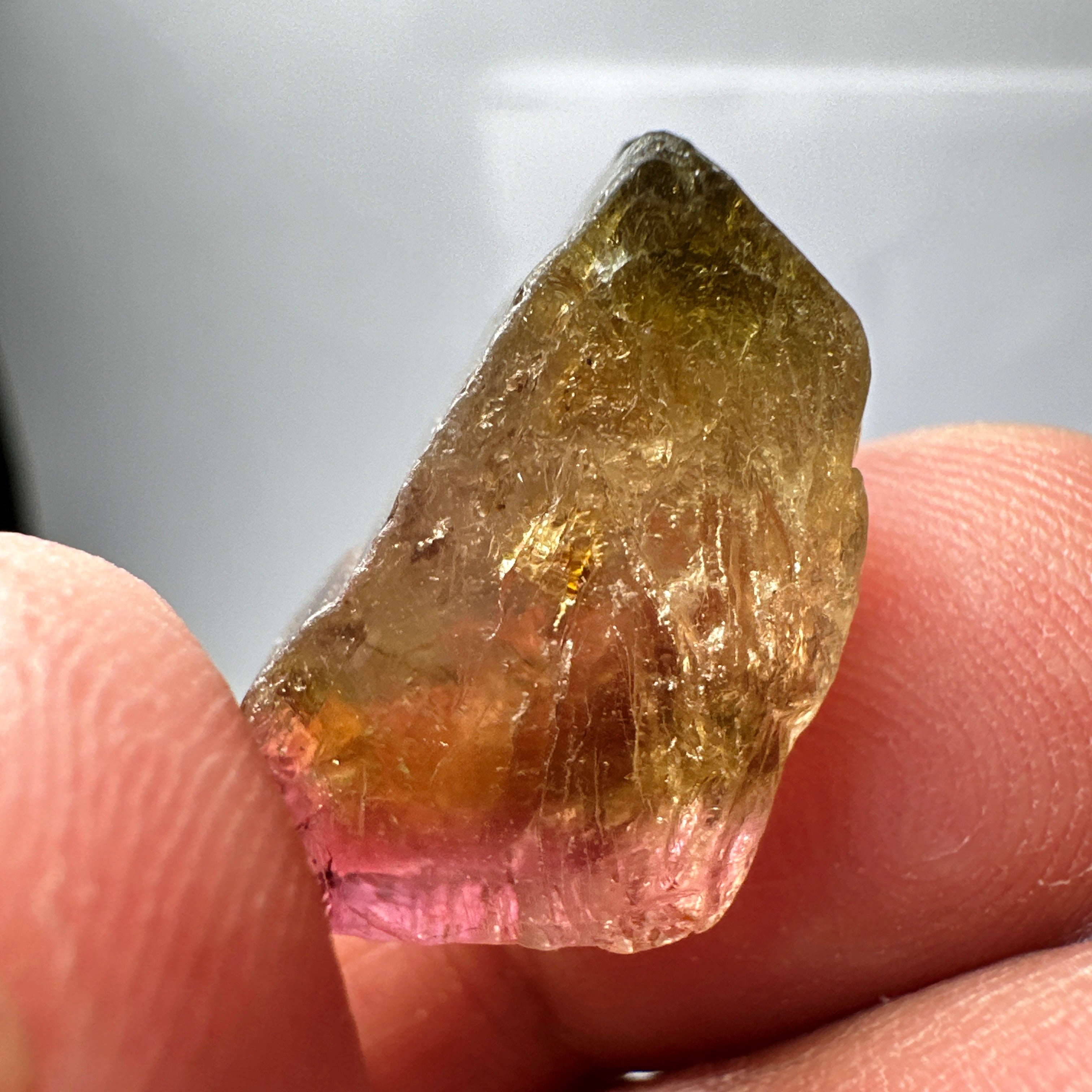 Watermelon Tourmaline Crystal, 30.20ct, Congo, Untreated Unheated, cabbing rough but can be faceted too, see illuminated photos