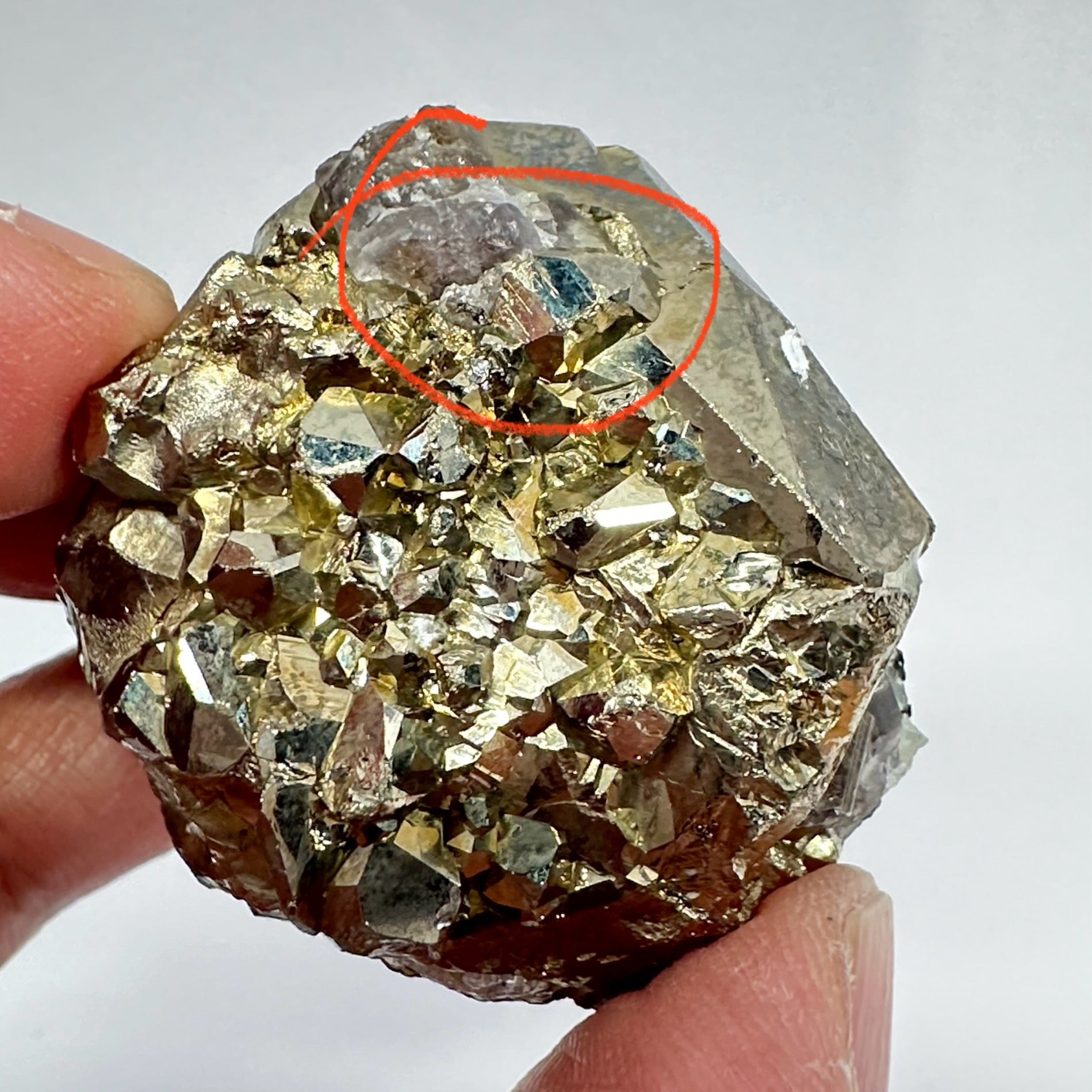 Pyrite, 90.10gm, Merelani, Tanzania, Untreated Unheated, same mines as Tanzanite, natural mirror crystal faces, this one has tanzanite and some Prehinite, I have circled the tz