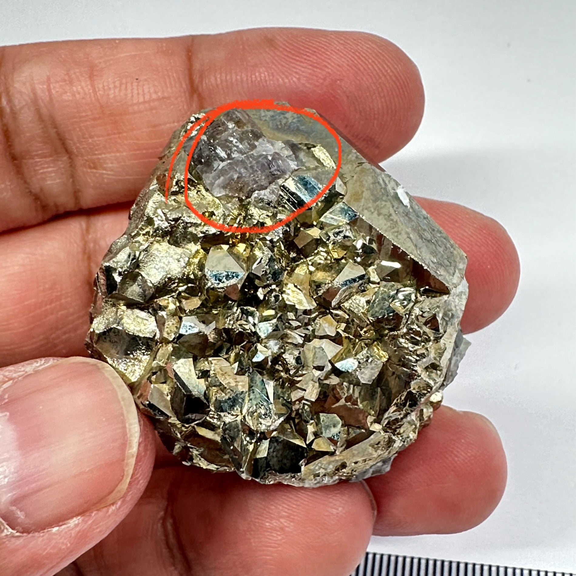 Pyrite, 90.10gm, Merelani, Tanzania, Untreated Unheated, same mines as Tanzanite, natural mirror crystal faces, this one has tanzanite and some Prehinite, I have circled the tz