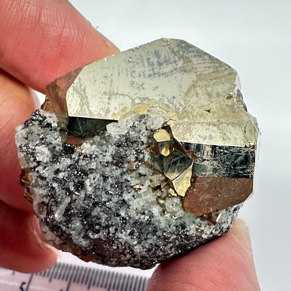 Pyrite, 90.10gm, Merelani, Tanzania, Untreated Unheated, same mines as Tanzanite, natural mirror crystal faces, this one has tanzanite and some Prehinite, I have circled the tz